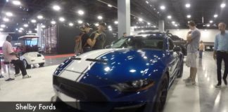 Bad to the Bone: Shelby F-150 and Shelby Mustangs