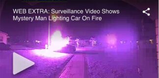 Another Car Arsonist in Miami