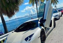 Miami Car Porn Lamborghini on the Bay