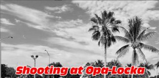 Shooting at Opa-Locka Dealership