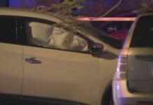 2 killed, 2 injured in Hialeah car crash