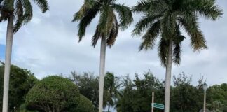 ✅ Looking for a new driving experience in Miami? Look no further than VamGroup Rent Car Miami! ???? We’ve got the latest a…