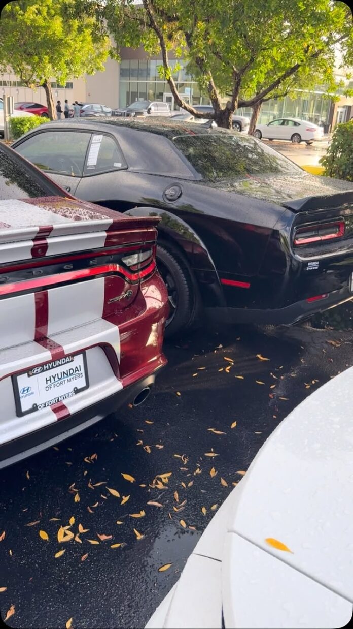 🚗💨 Corvette • SRT • Exotic Luxury Sports Cars 💎 From iconic American muscle to high-performance exotics