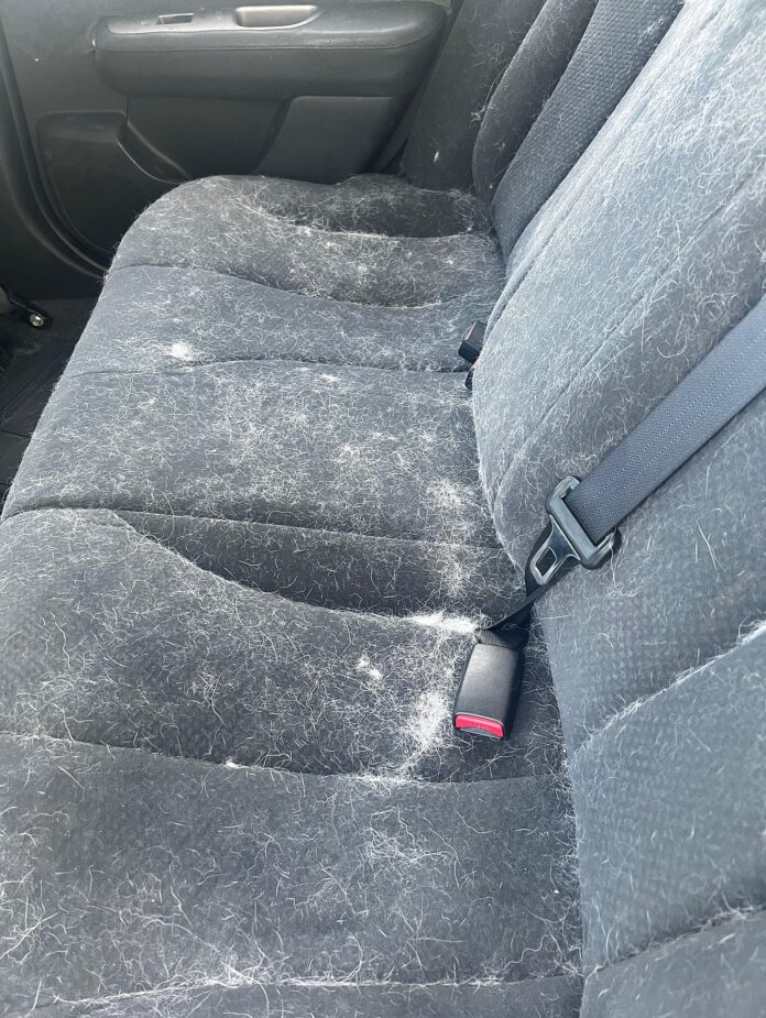 ✨🚙 From furry to flawless! Check out this before & after of our pet hair removal service + shampoo 🐾💨 Book your appoi…