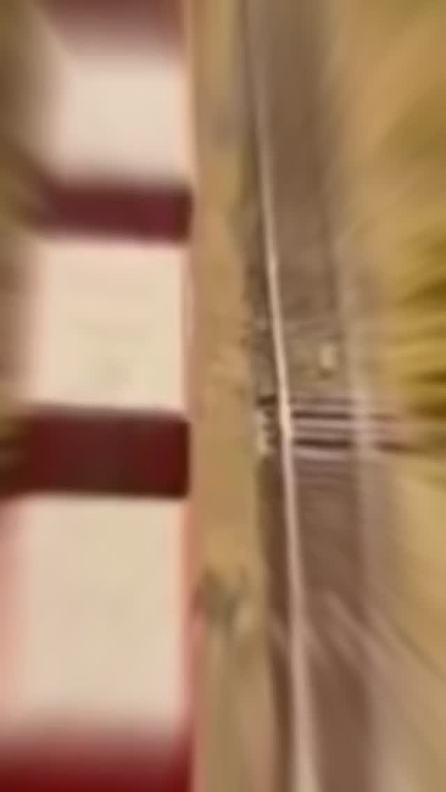 Big weekend ahead at the @gcrmrailroad Gold Coast Railroad Museum! 🚘☕ This Saturday, admission is completely FREE—so it…