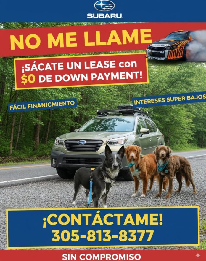 🚗✨ ¡Estrena tu Subaru HOY! ✨🐾 ¿Listo para dar el siguiente paso? Con $0 de down payment y fácil financiamiento, ¡lleva…